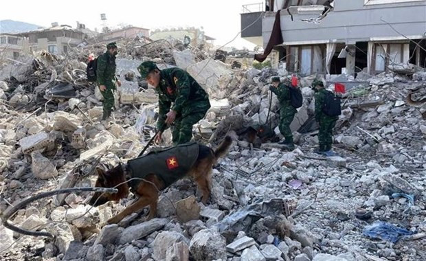 More earthquake victims found by Vietnamese rescue teams in Turkey hinh anh 1