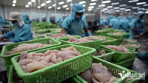 Vietnam’s farm exports down in January