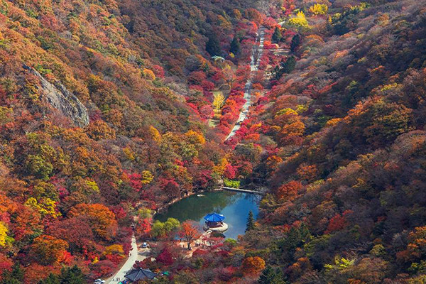 Jeonbuk - điểm du lịch mới đẹp nhất Hàn Quốc nhất định phải đến năm 2023