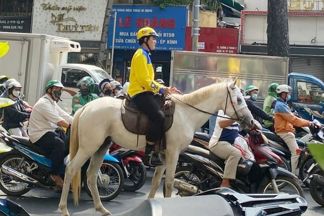 Man fined for riding horse in HCM City centre during rush hour