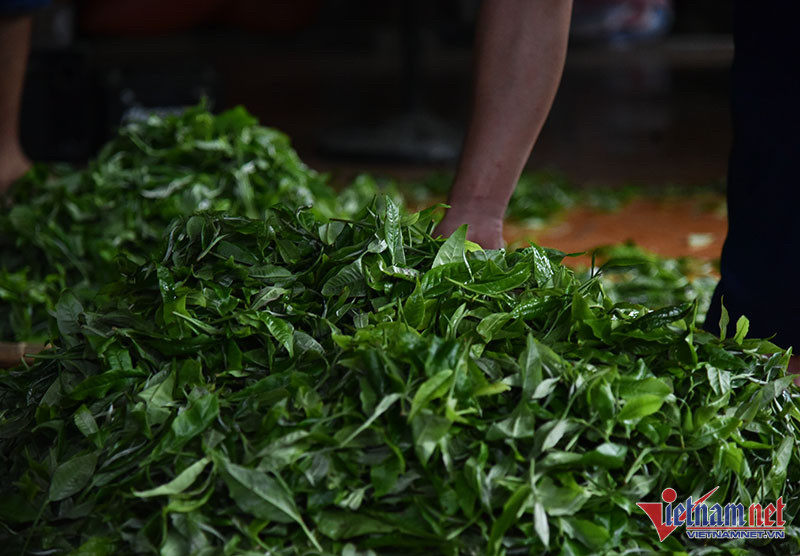 US aims to increase tea imports from Vietnamese market