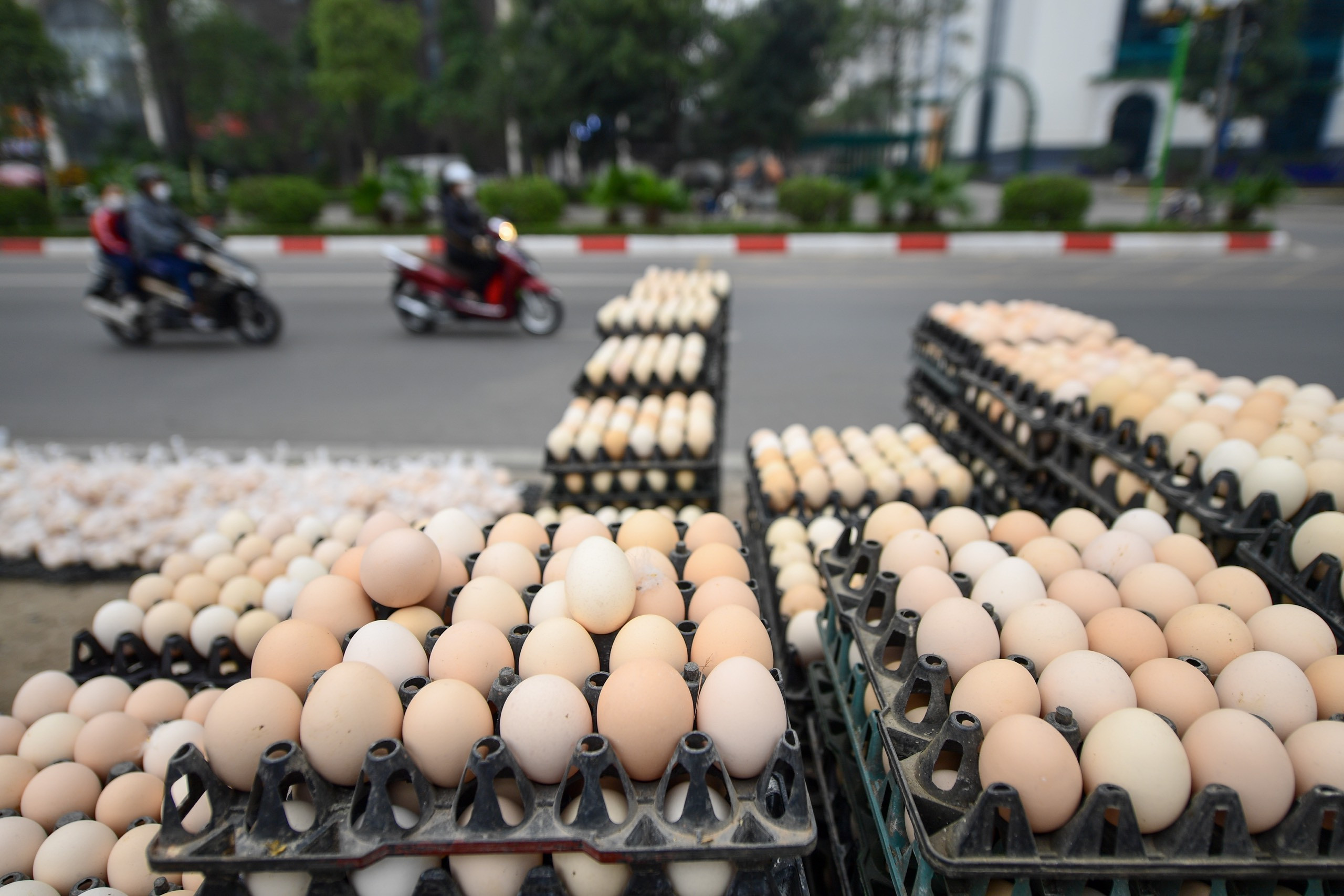 Trứng gà giá 65.000 đồng/30 quả bày bán tràn lan vỉa hè Hà Nội
