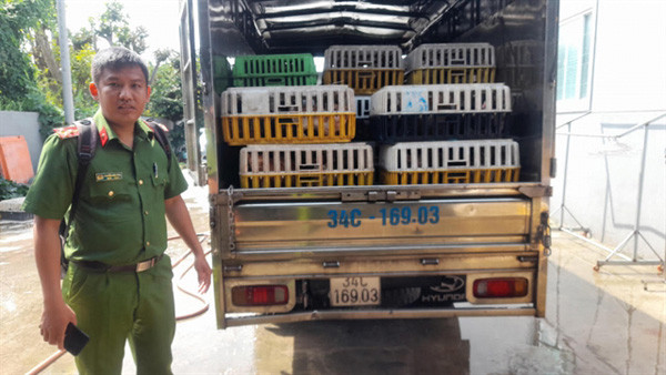 Tonnes of cat meat of unclear origin found at Dong Thap slaughterhouse