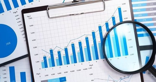 Vietnamese Gov't to conduct 45 surveys and censuses