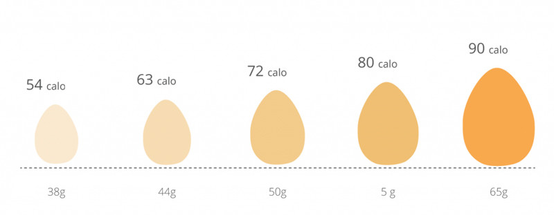 Ăn trứng luộc mỗi sáng có tốt cho sức khỏe không?