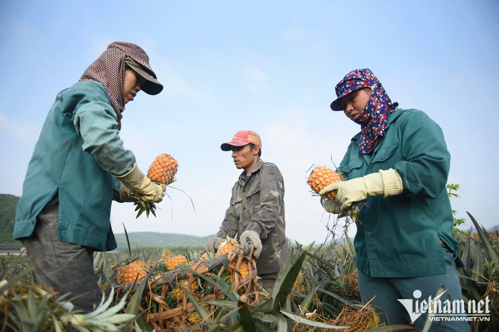 China becomes choosy about farm produce exports