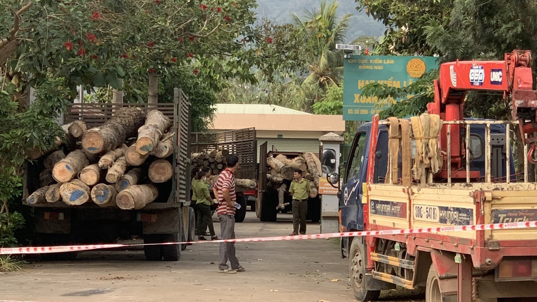 Xác định thêm nghi phạm trong vụ chặt phá rừng phòng hộ ở Đồng Nai