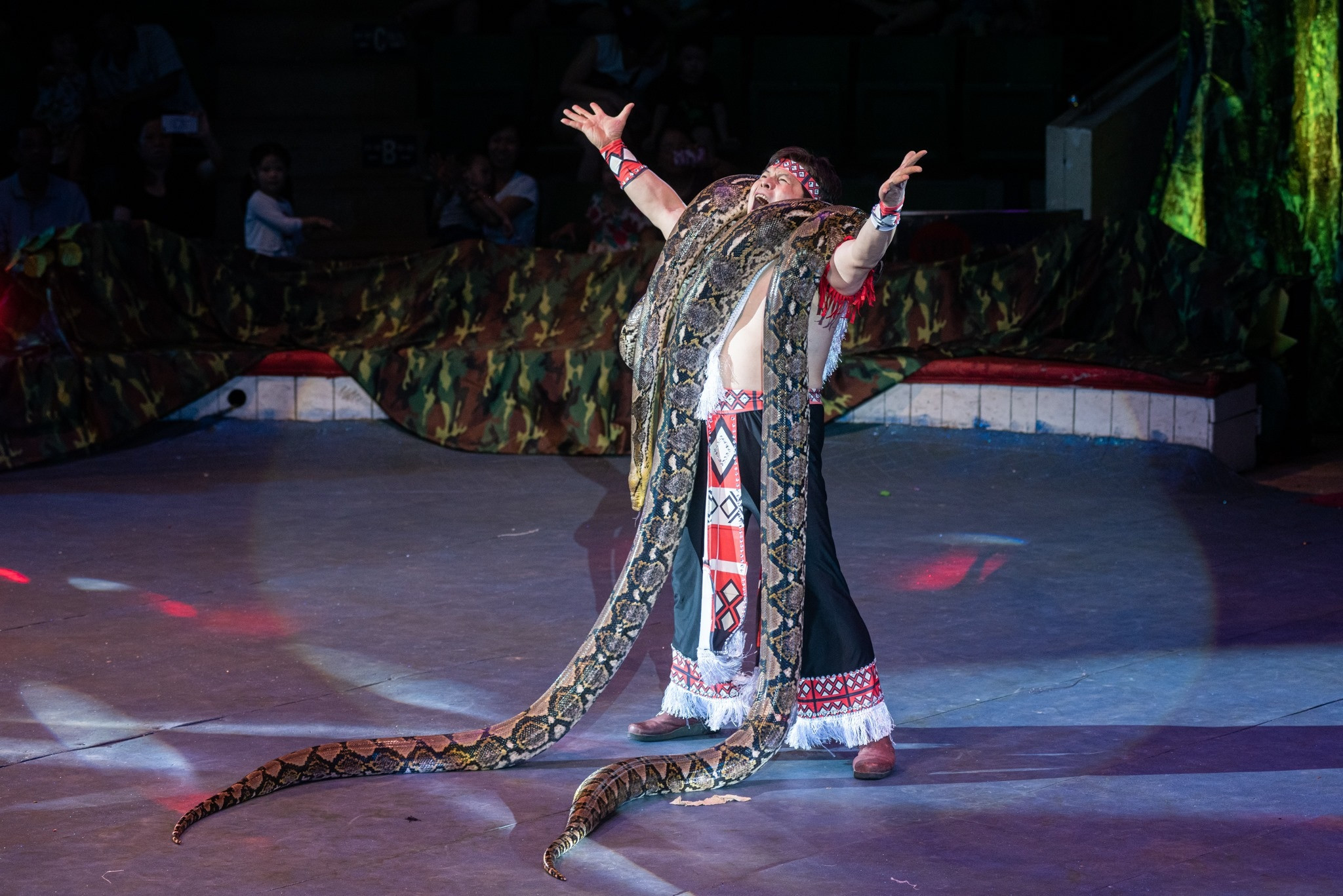 Ông vua xiếc Việt kể chuyện ăn ngủ cùng trăn khổng lồ - 1