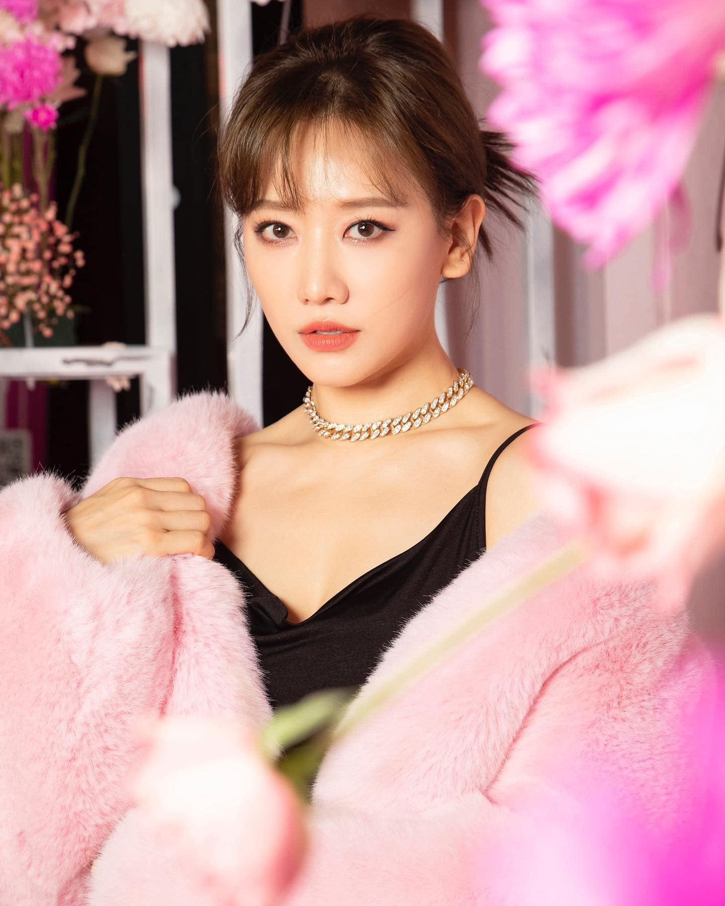 Hari won tranh cai anh 1