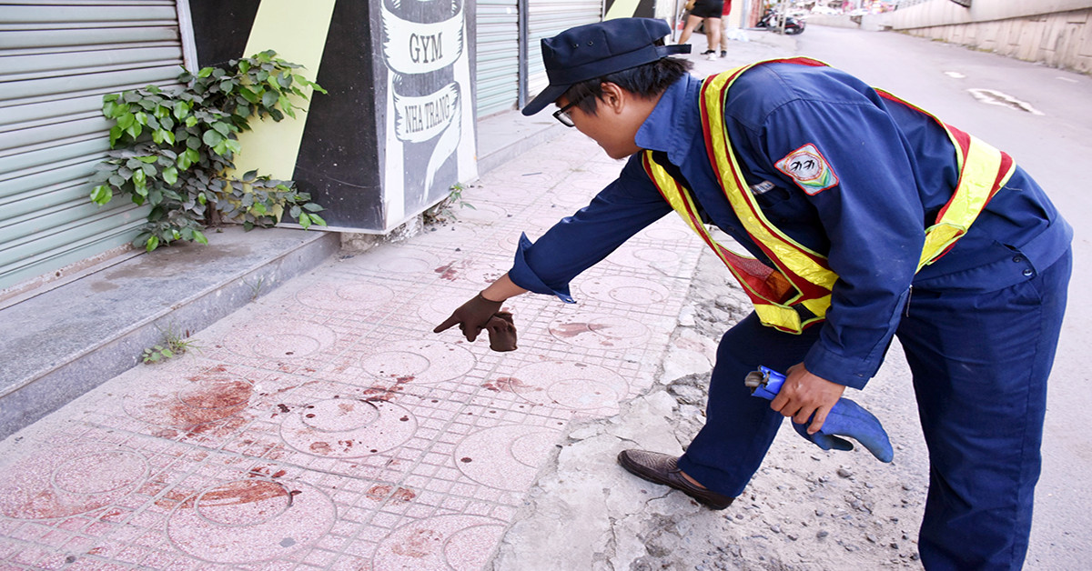 Vụ du khách nước ngoài bị chó cắn: Nha Trang xử lý tình trạng chó thả rông