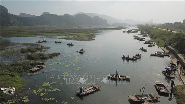 Conservation of wetland habitats contributes to carbon storage hinh anh 1