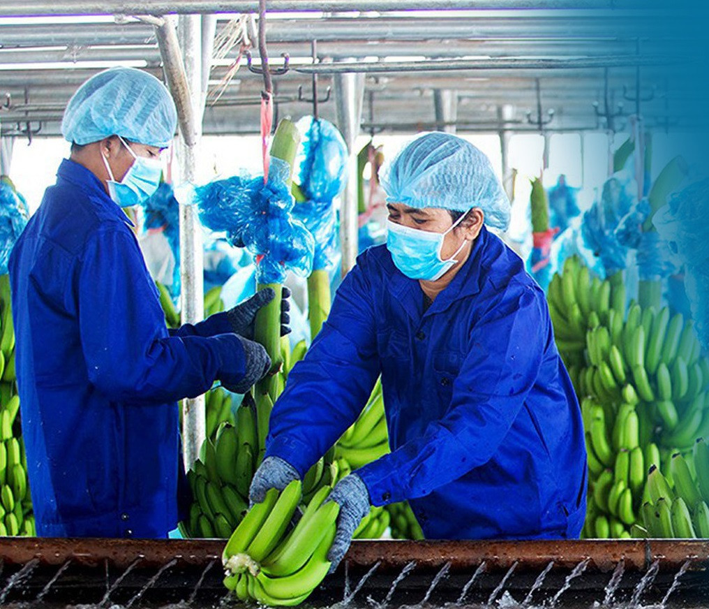 Cambodia becomes major agricultural product supplier to Vietnam