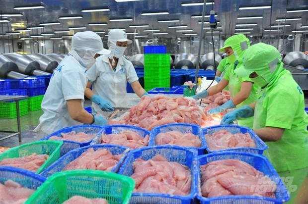 China begins large purchase of Vietnamese tra fish