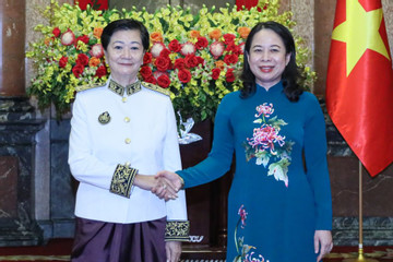 Quyền Chủ tịch nước Võ Thị Ánh Xuân tiếp 3 Đại sứ tới trình quốc thư