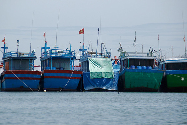 Bắt tạm giam giám đốc trung tâm đăng kiểm tàu cá