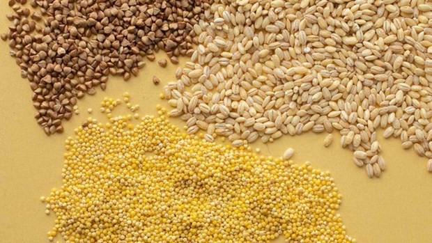 Another Vietnamese firm launches branch in Cuba hinh anh 1