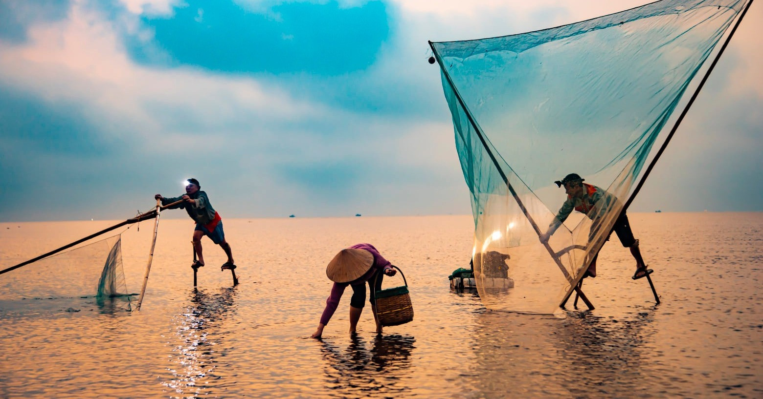 Stunning photos of Thai Binh sea in the morning sun