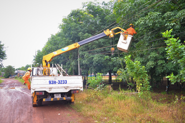 Điện lực miền Nam chủ động phòng chống tai nạn điện