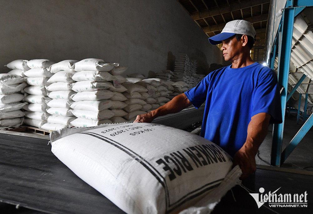 Enterprises lack money to collect rice for export