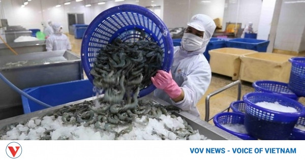 ASEAN emerges as fourth largest export market for Vietnamese seafood