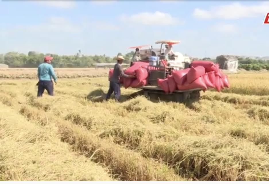 Ban Bí thư ban hành Chỉ thị về lãnh đạo Đại hội Hội Nông dân các cấp