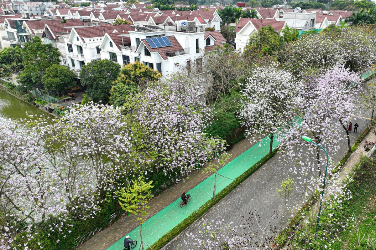 foreigners excited to discover flower road in hanoi picture 12