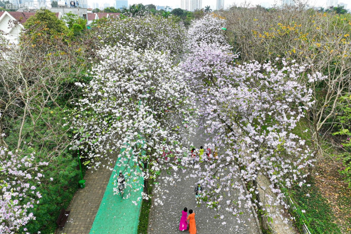 foreigners excited to discover flower road in hanoi picture 2