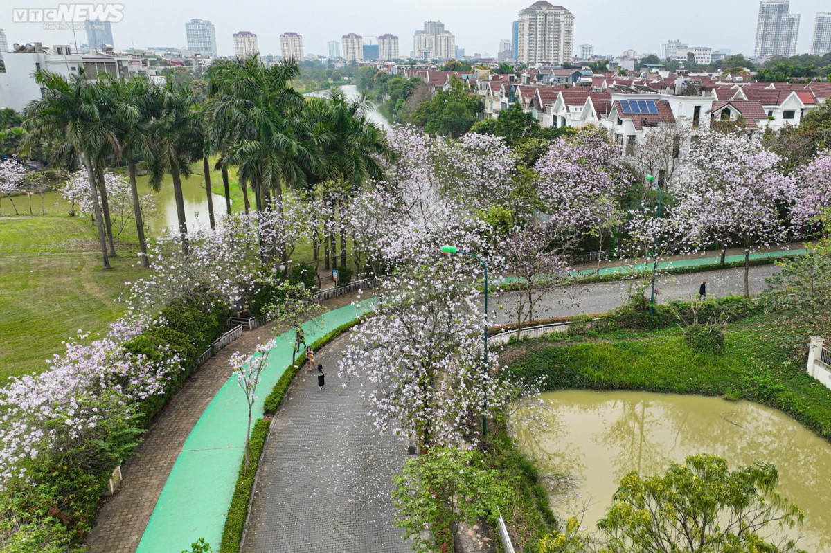 foreigners excited to discover flower road in hanoi picture 11