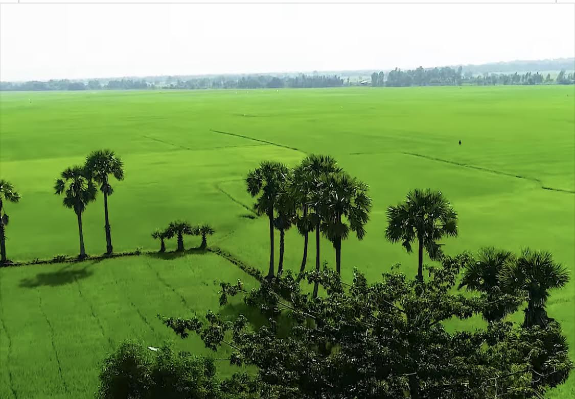 Ưu tiên áp dụng mô hình phát triển bền vững dựa trên xây dựng đồng thời 2 lộ trình