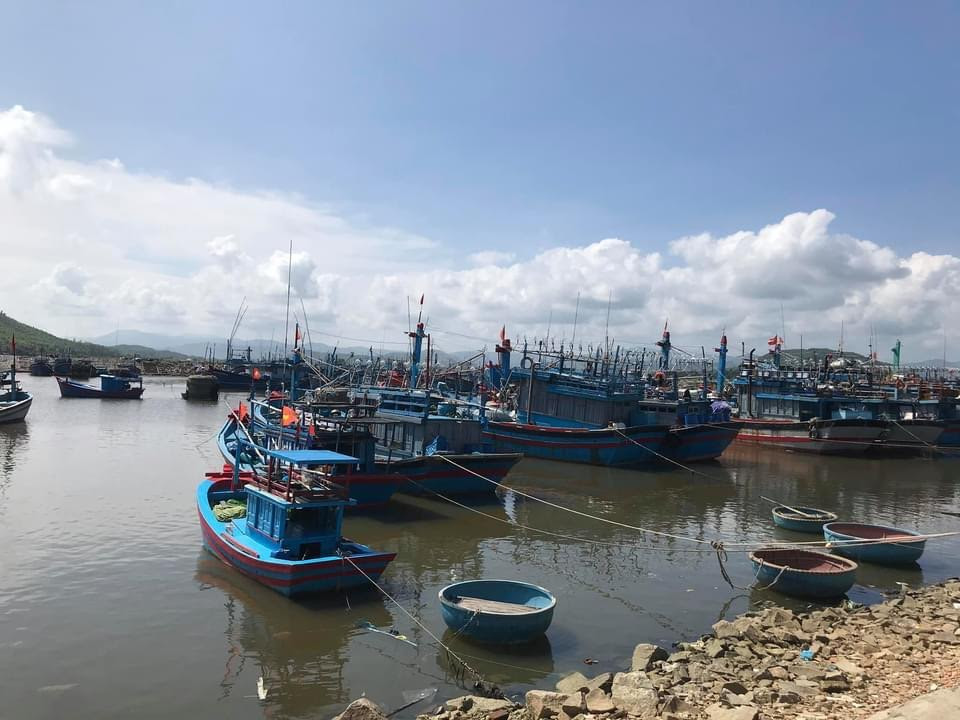 Trao đổi, cung cấp thông tin, phối hợp gỡ 