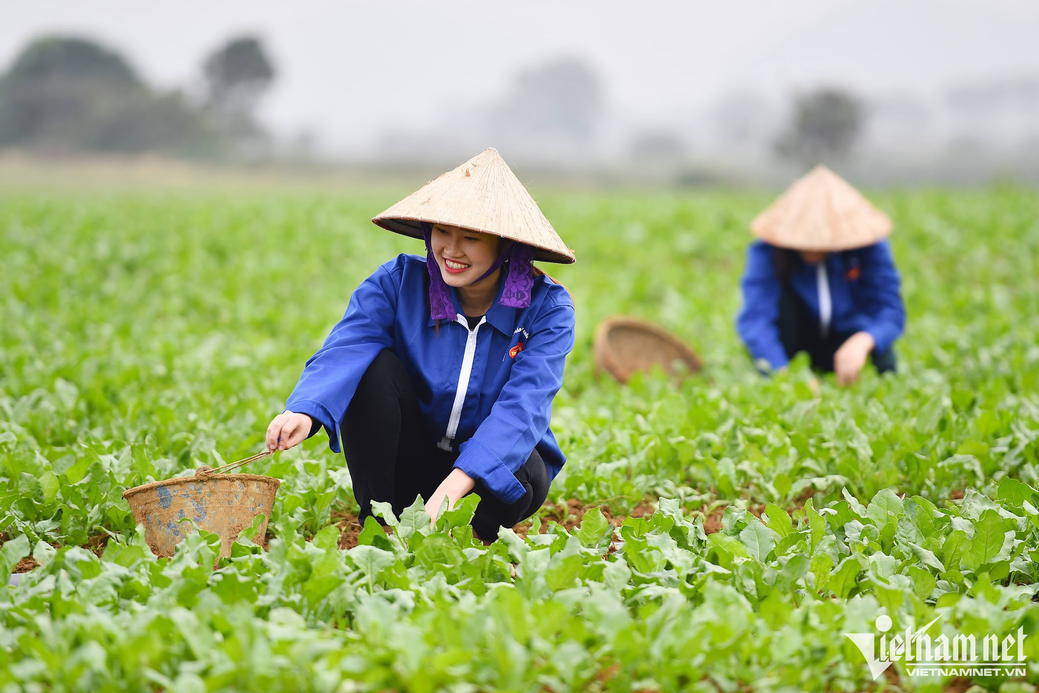 Nông dân đóng vị trí chủ thể trong việc quyết định thành công của phát triển NN, NT