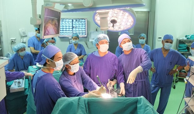 Vietnam makes hallmark on world medical map hinh anh 1