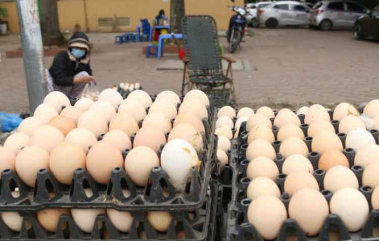 Hiệp hội Gia cầm khuyến cáo không tiêu thụ trứng 