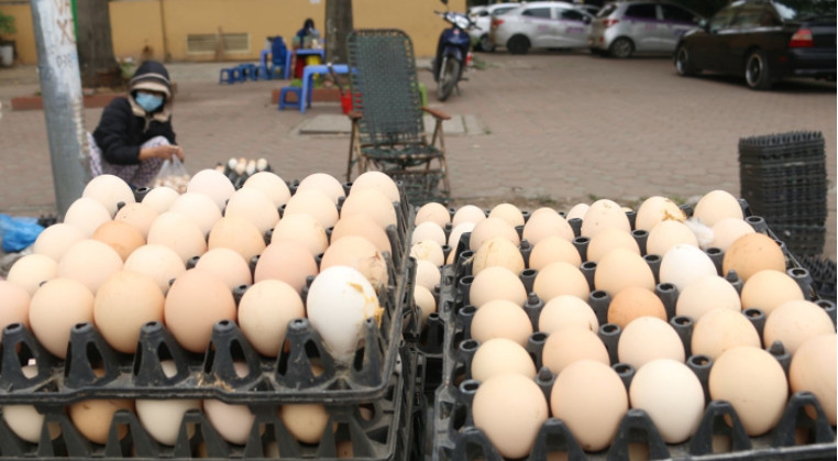 Trứng giải cứu không rõ nguồn gốc được các tiểu thương bán trên vỉa hè dọc Đại lộ Thăng Long và nhiều tuyến phố khác ở Hà Nội - Ảnh: Hoàng Anh