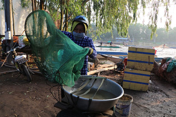 The vanishing catch: How women are suffering in the Mekong Delta