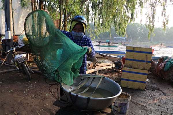 The vanishing catch: How women are suffering in the Mekong Delta