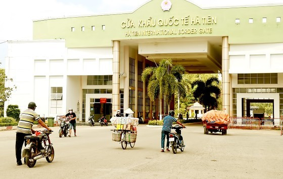 Vietnam tightens sales of poultry in border crossings ảnh 1