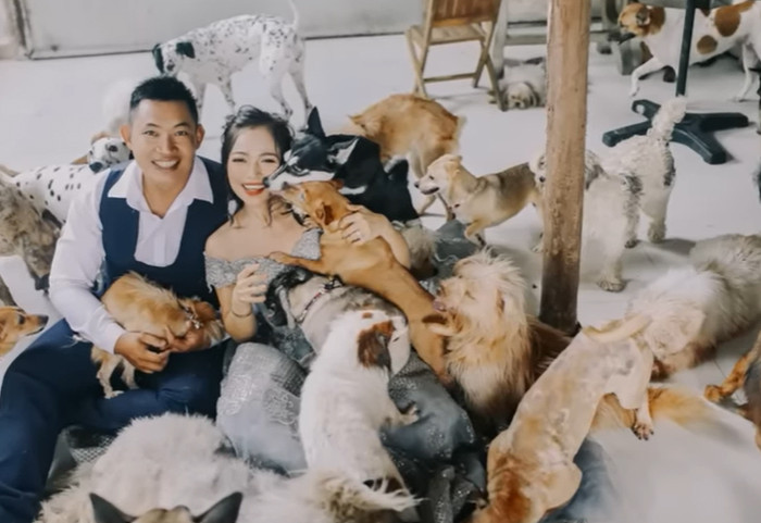 Vợ chồng son: Cặp đôi hoãn cưới để cưu mang hơn 450 con chó, mèo