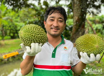 International sales of Vietnamese fruits expected to soar in 2023