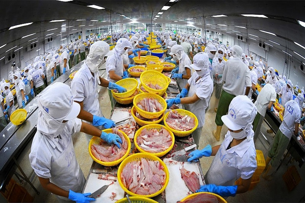 vietnam remains third largest seafood supplier to rok picture 1