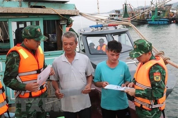 Kien Giang implements 180-day IUU fishing combat drive hinh anh 1