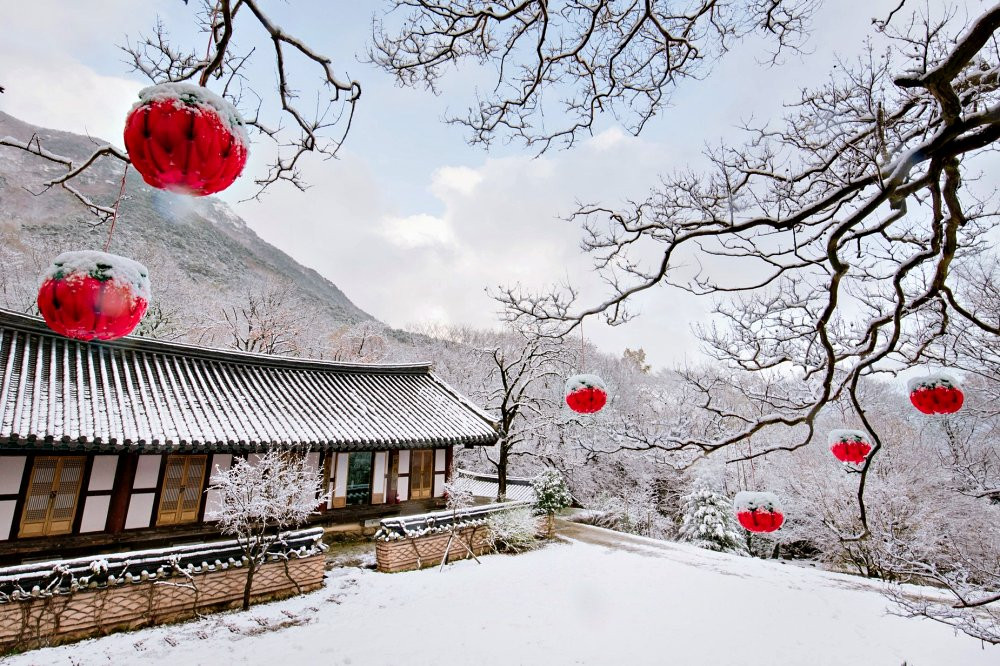 Mê mẩn khung cảnh 'giấc mơ tuyết trắng' đẹp như tranh tại Hàn Quốc