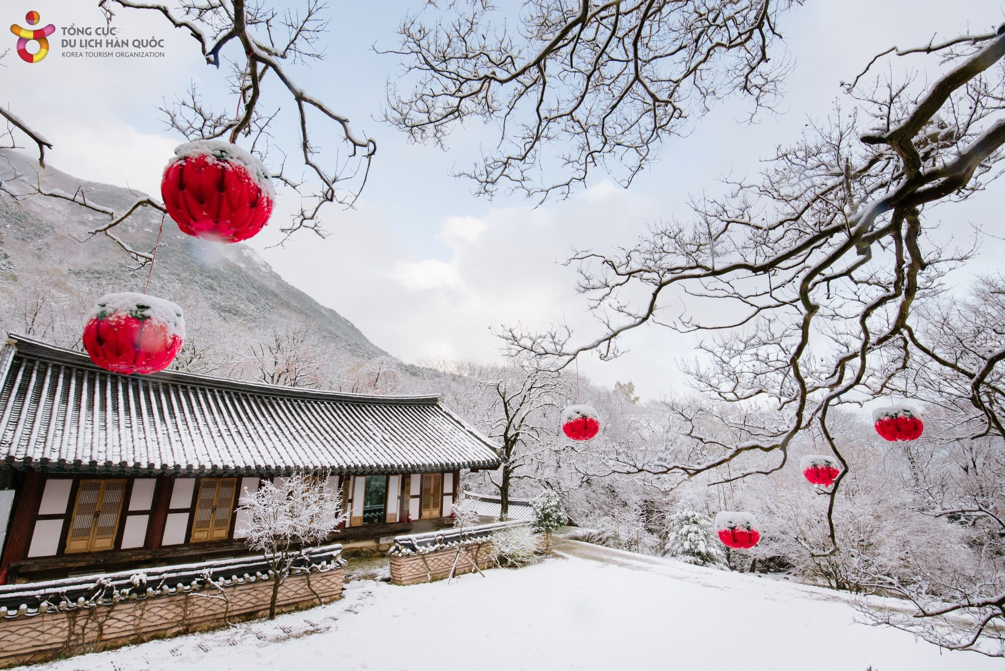 Mùa thu Hàn Quốc tuyệt đẹp từ hình ảnh chụp bằng điện thoại  Du lịch