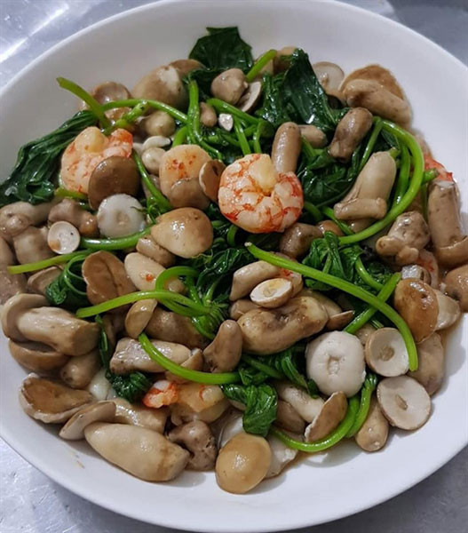 Phu Quoc mushroom makes delicacies