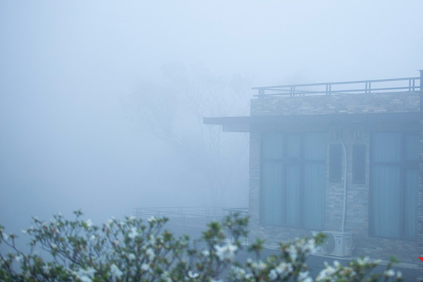 Dự báo thời tiết 8/2: Sương mù phủ khắp miền Bắc