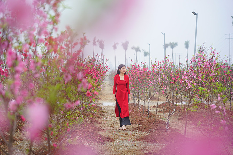 Sôi động ngày hồng Pink Day lần đầu tiên tại Lễ hội Hoa đào xứ Lạng 