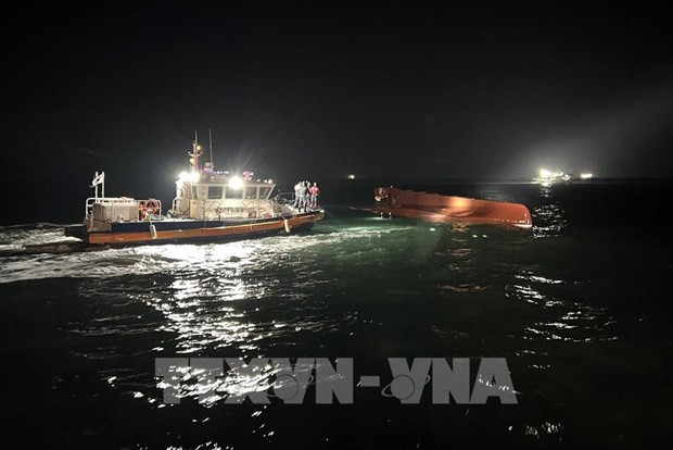 Two Vietnamese fishermen missing in boat sinking in RoK hinh anh 1