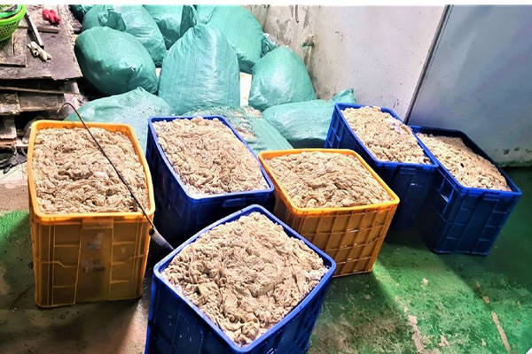 Phát hiện 9 tấn chân gà, lòng lợn không rõ nguồn gốc tại công ty thực phẩm