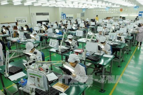 Vietnam’s economy to “normalise” this year: VinaCapital