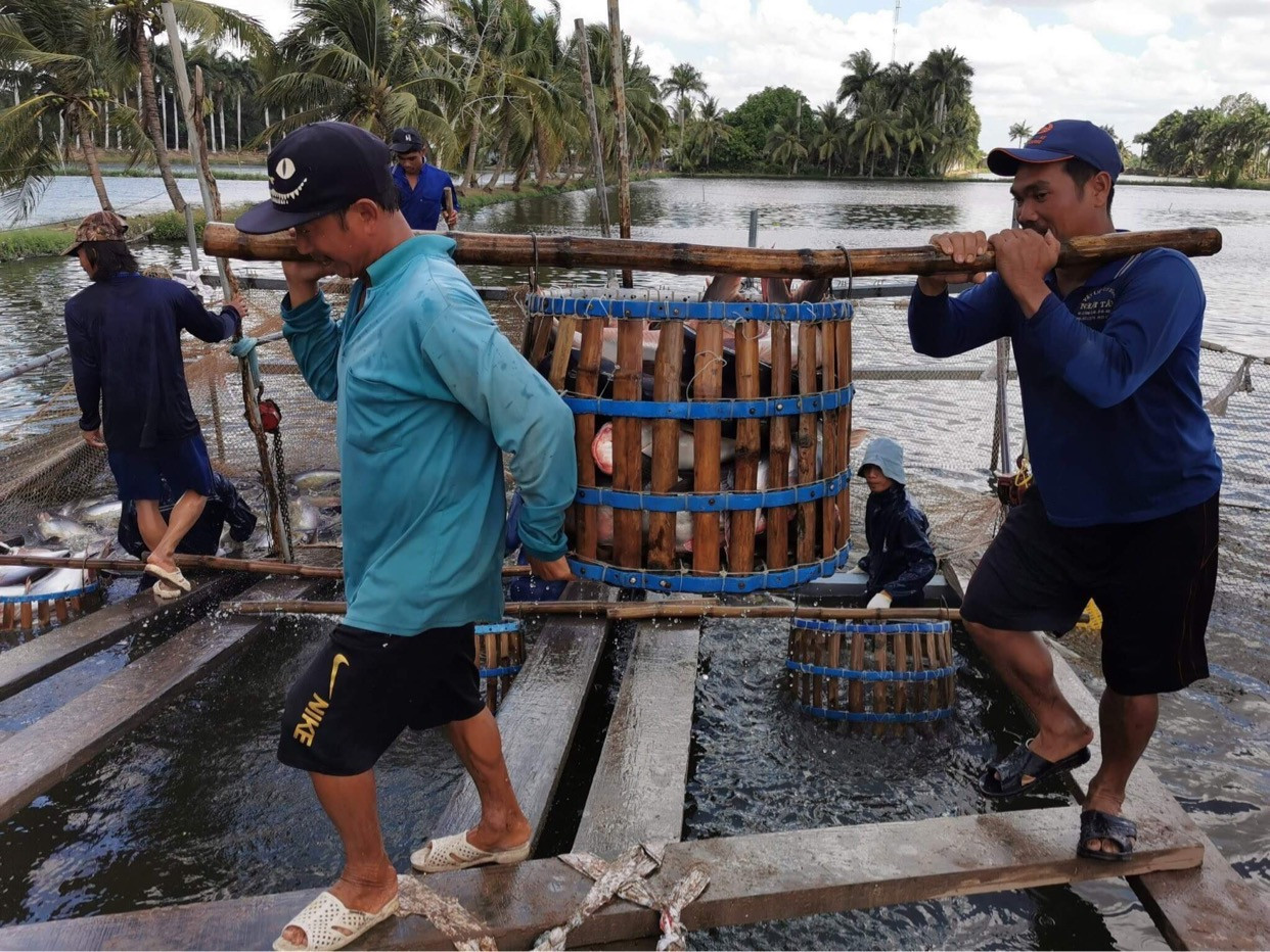 Vietnam looks forward to catfish orders from China, the US